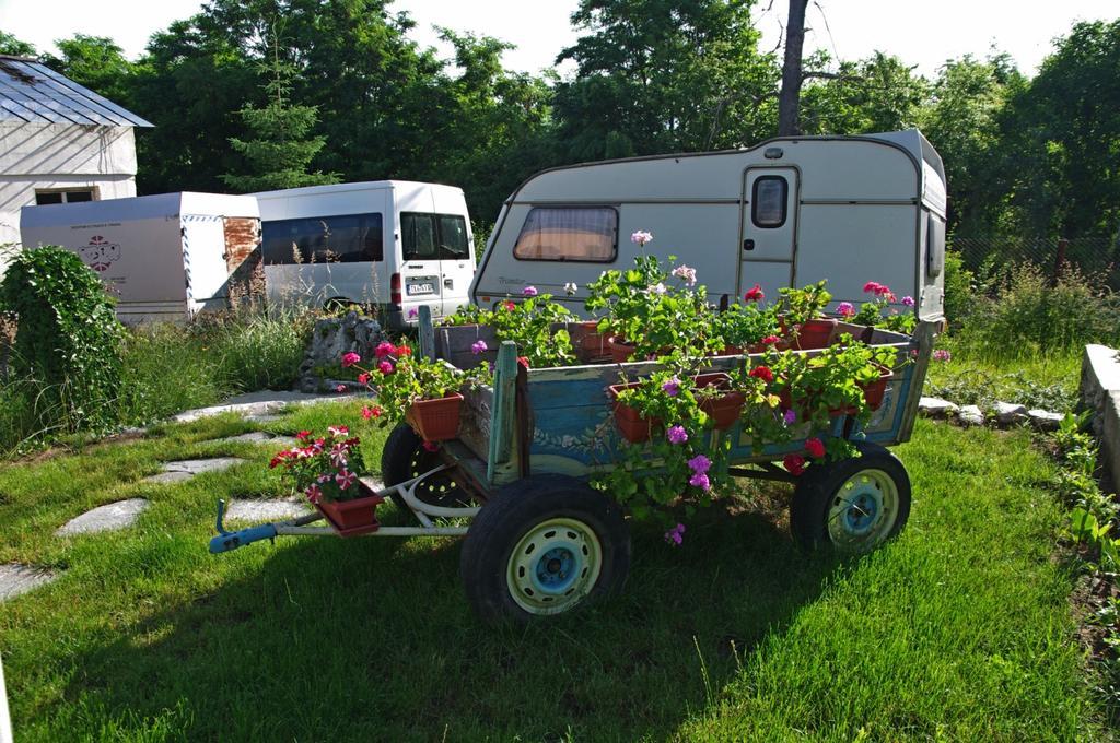 Camping Verila Hotel Sapareva Banya Exterior photo